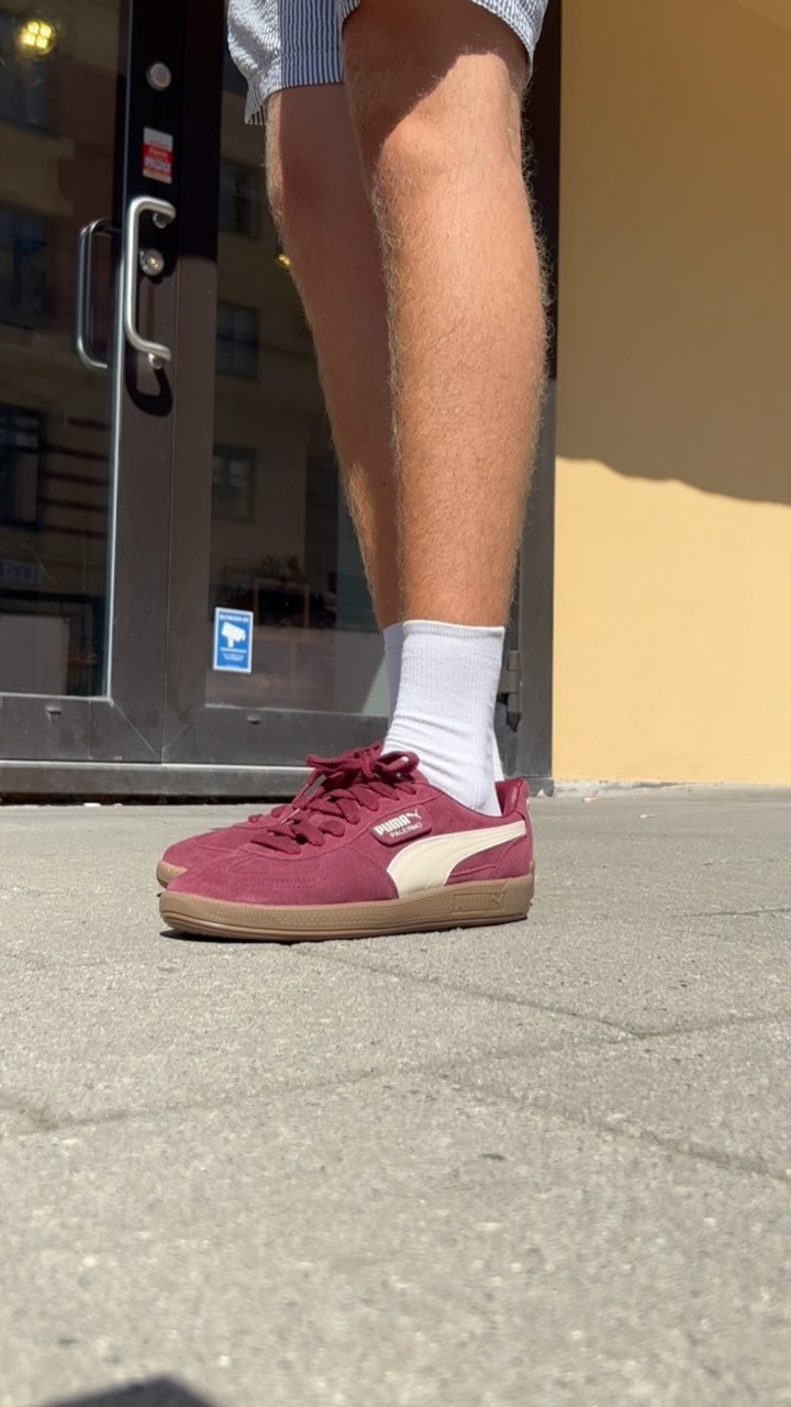 Instagram picture 
