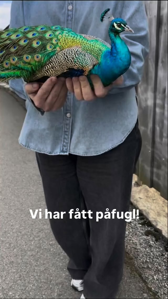 Instagram picture 